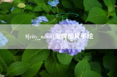 菏泽金牌图片手绘