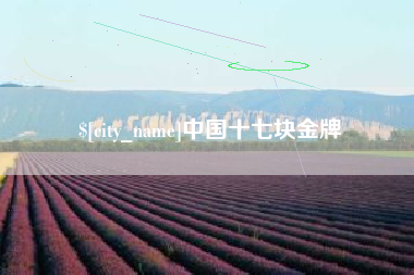 菏泽中国十七块金牌