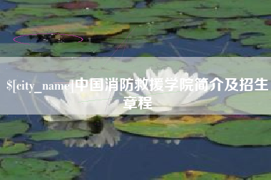 菏泽中国消防救援学院简介及招生章程