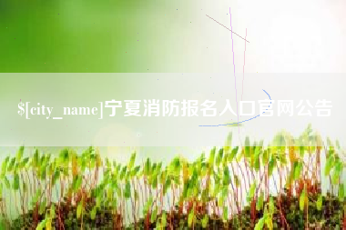 菏泽宁夏消防报名入口官网公告