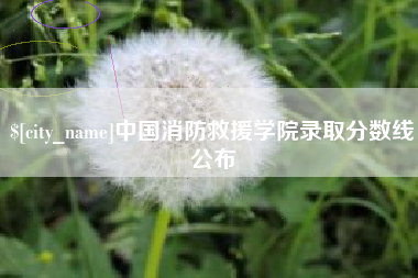 菏泽中国消防救援学院录取分数线公布