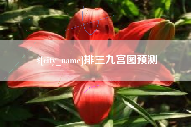 菏泽排三九宫图预测