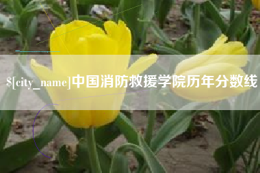 菏泽中国消防救援学院历年分数线