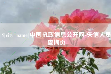 菏泽中国执政信息公开网-失信人员查询页
