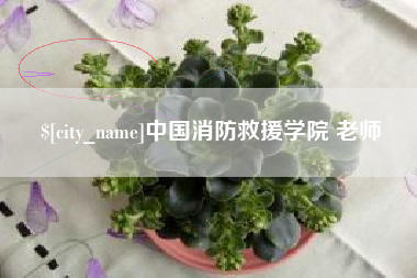 菏泽中国消防救援学院 老师