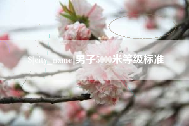 菏泽男子5000米等级标准
