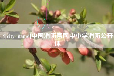 菏泽中国消防官网中小学消防公开课