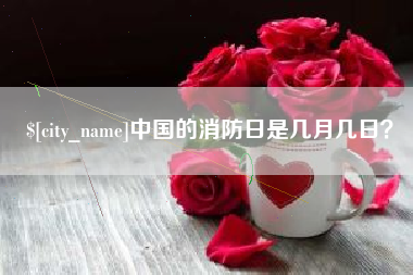 菏泽中国的消防日是几月几日？