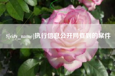 菏泽执行信息公开网查到的案件
