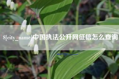 菏泽中国执法公开网征信怎么查询