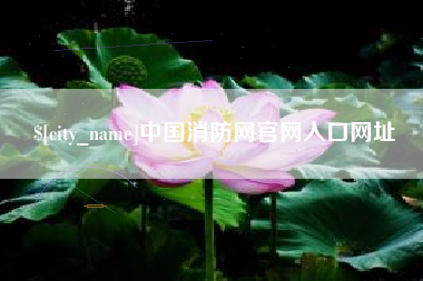 菏泽中国消防网官网入口网址