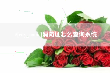菏泽消防证怎么查询系统