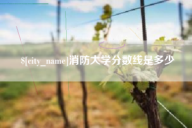 菏泽消防大学分数线是多少