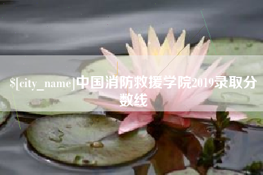 菏泽中国消防救援学院2019录取分数线