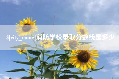 菏泽消防学校录取分数线是多少