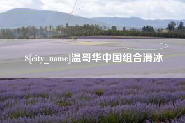 菏泽温哥华中国组合滑冰
