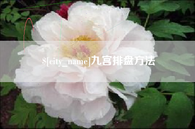 菏泽九宫排盘方法
