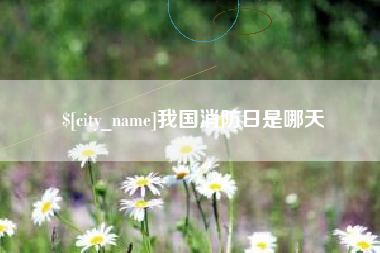 菏泽我国消防日是哪天