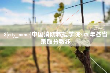 菏泽中国消防救援学院2020年各省录取分数线