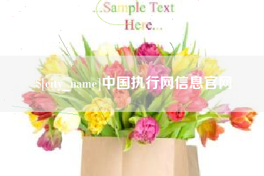 菏泽中国执行网信息官网