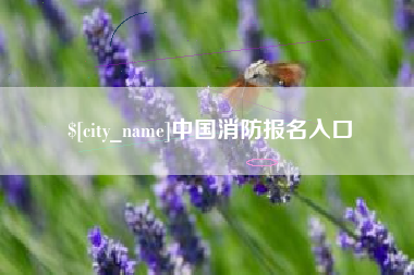 菏泽中国消防报名入口