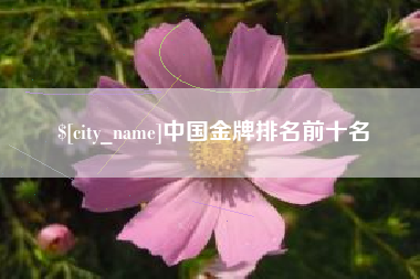 菏泽中国金牌排名前十名