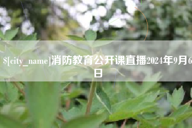菏泽消防教育公开课直播2024年9月6日