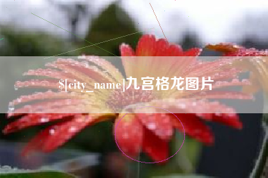 菏泽九宫格龙图片