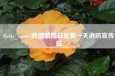 菏泽我国消防日是哪一天消防宣传日