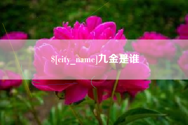 菏泽九金是谁