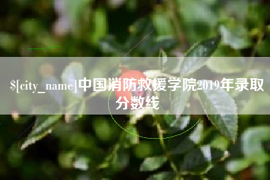 菏泽中国消防救援学院2019年录取分数线