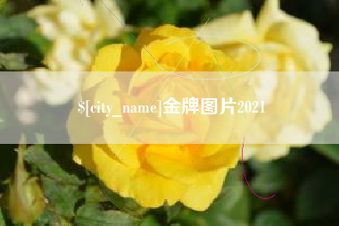 菏泽金牌图片2021
