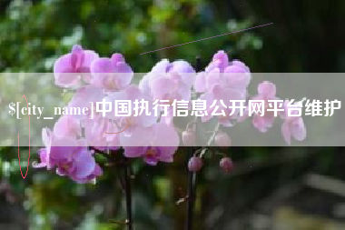 菏泽中国执行信息公开网平台维护