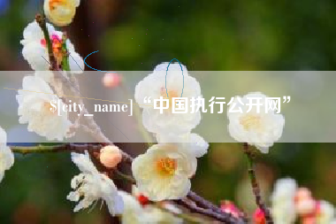 菏泽“中国执行公开网”