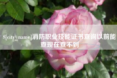 菏泽消防职业技能证书查询以前能查现在查不到