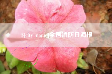 菏泽全国消防日海报
