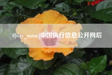 菏泽中国执行信息公开网后