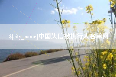 菏泽中国失信被执行人名单网