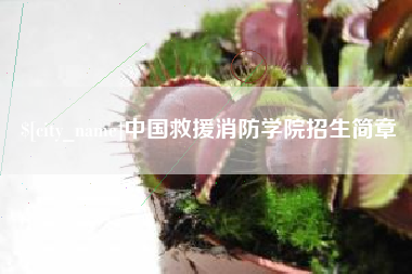 菏泽中国救援消防学院招生简章