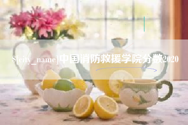 菏泽中国消防救援学院分数2020