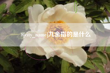菏泽九金指的是什么
