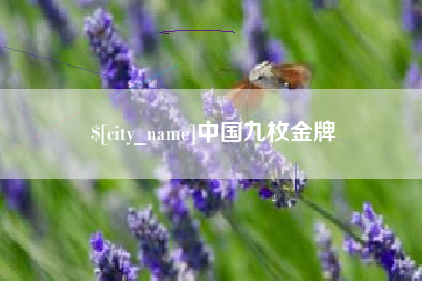 菏泽中国九枚金牌