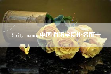 菏泽中国消防学院排名前十