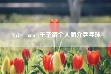 菏泽王子豪个人简介乒乓球