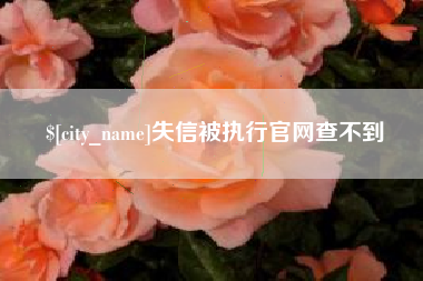 菏泽失信被执行官网查不到