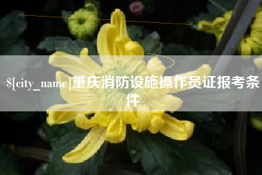 菏泽重庆消防设施操作员证报考条件