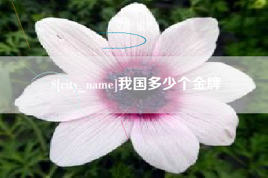 菏泽我国多少个金牌