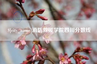 菏泽消防救援学院四川分数线