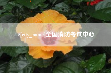 菏泽全国消防考试中心