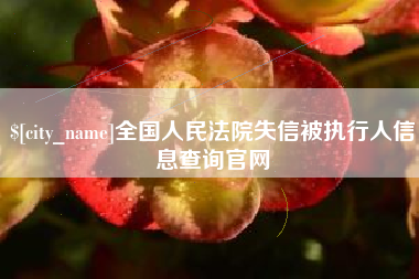 菏泽全国人民法院失信被执行人信息查询官网
